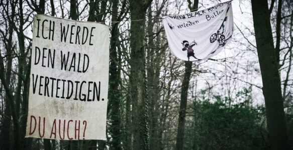Why is the Osterholz forest threatened?